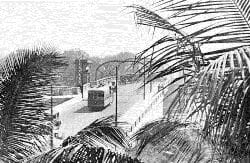 Trolley Car through the Palm Trees over Flagler Street Bridge in 1926