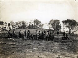 Clearing of grounds of Royal Palm Hotel in 1896