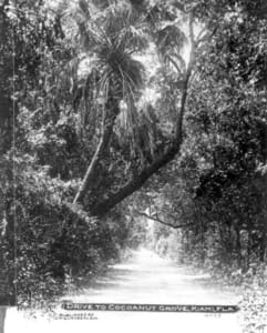 Road to Coconut Grove in early 1900s.