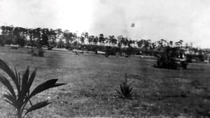 Miami City Cemetery in 1900s
