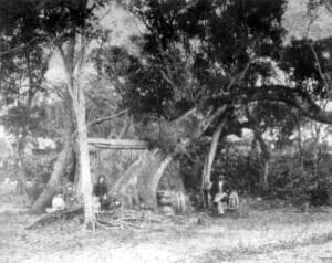 Miami Pioneers living in tent in 1896