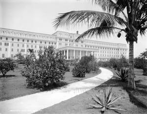 Royal Palm Hotel Gardens
